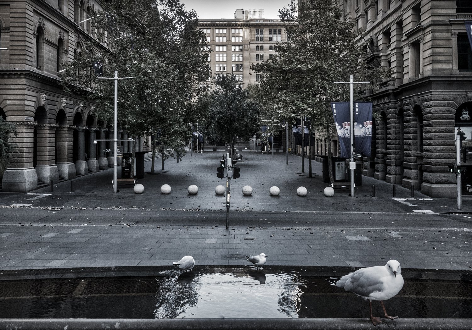 Sydney CBD in Lockdown #12