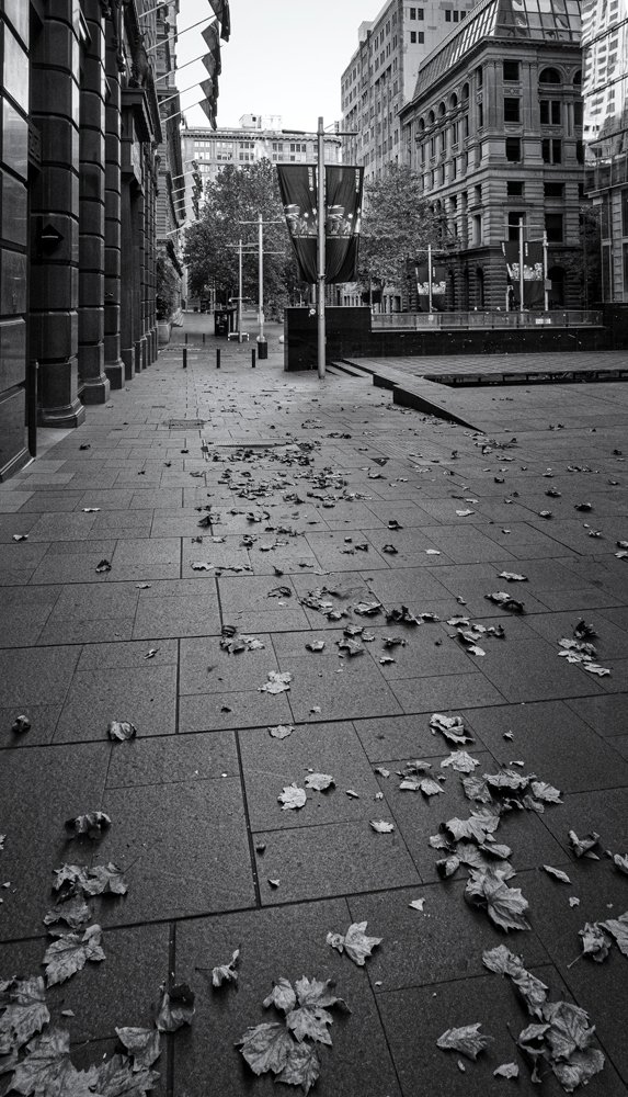 Sydney CBD in Lockdown #75